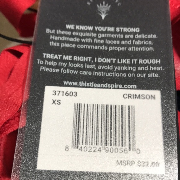 Thistle And Spire Verona Thong Panty Embroidered Mesh Crimson Red XS NWT - Picture 5 of 7